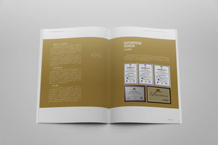 金融公司畫冊設(shè)計(jì)的創(chuàng)新路徑與計(jì)算機(jī)圖文應(yīng)用